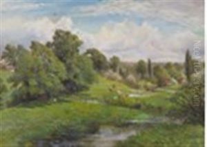 Cattle In A Sunny River Landscape, Fovant, Wiltshire Cattle In A Sunny River Landscape, Fovant, Wiltshire