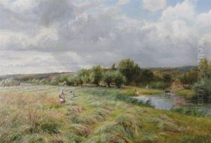 Summer Meadow Scene