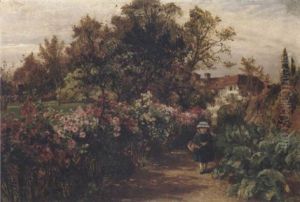 Chrysanthemums
