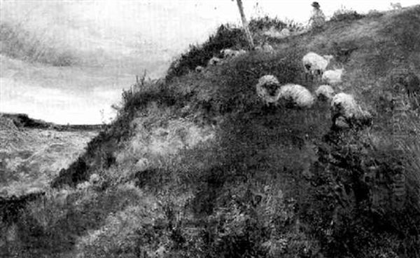 Sheep On Hillside - view 1
