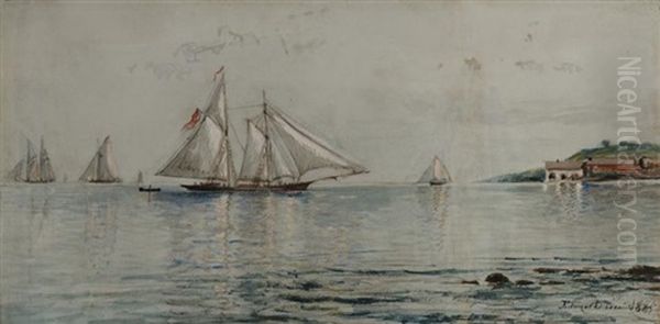 Boats In A Harbor - view 1