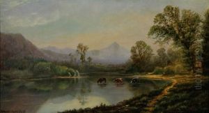 Cows Fording A Stream