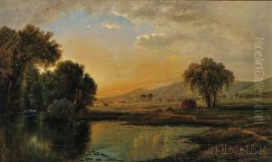 Conway Meadows