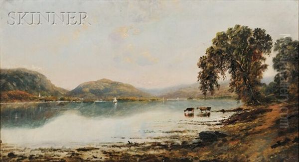 View With Cows Watering At A Lake - view 1