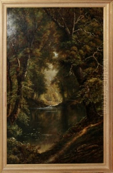 Forest River Scene - view 1
