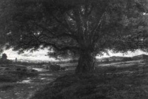 Haywagon Beneath The Boughs
