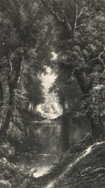 Forest Interior - view 1