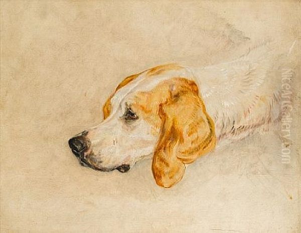 Rattler, One Of His Majesty's Staghounds - view 1