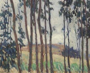 Lanky Eucalyptus by Phillips Frisbee Lewis