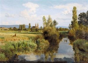 Bewaldete Sommerlandschaft Am Mittelrhein Mit Altwasser Bewaldete Sommerlandschaft Am Mittelrhein Mit Altwasser