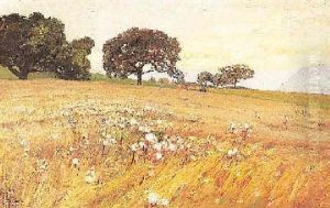 Blick Auf Ein Reifes Kornfeld In Suddeutscher Hugellandschaft