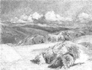 Kastilische Gebirgslandschaft Mit Kornhocken