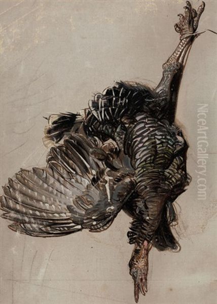 Turkey (study) - view 1