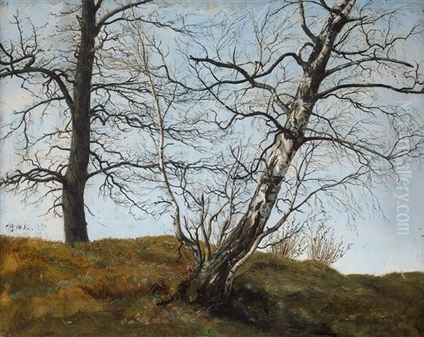 Birke Und Eiche Im Fruhling - view 1