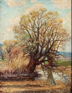 Arbol by Carlos Lezcano Fernandez