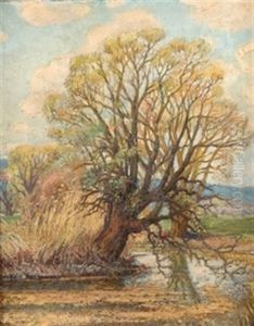 Arboles Junto Al Rio Arboles Junto Al Rio