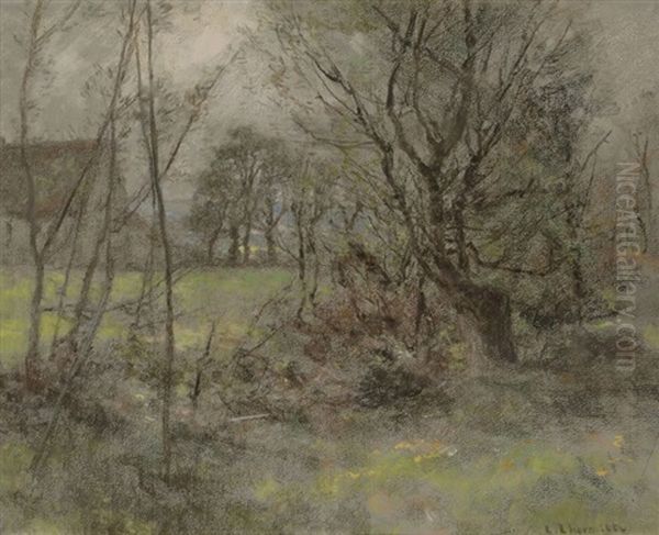 Paysage Pres De La Ferme - view 1