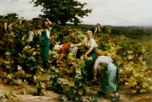 Harvest Time, Mont-saint-pere