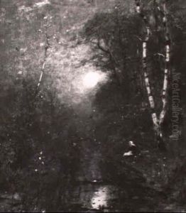 Moonlight Through The Trees Moonlight Through The Trees