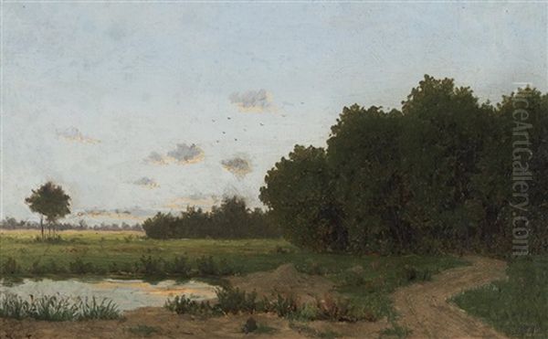 Early Evening Landscape - view 1