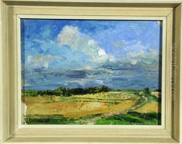 Feldlandschaft - view 1