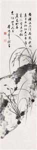 Orchid Orchid