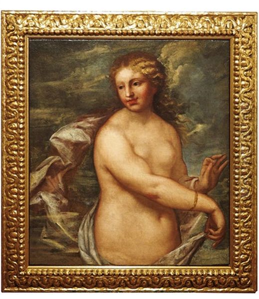 Venus - view 1