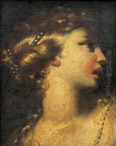 Portrait Of A Lady - view 1