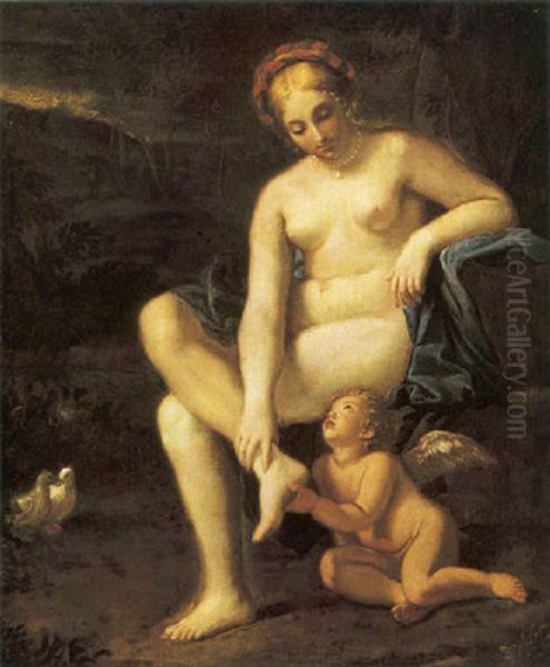 Venere E Amore - view 1