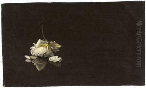 Welke Rosenblute Vor Dunklem Grund