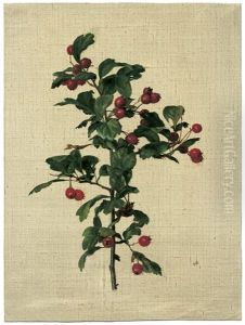 Studie Eines Weisdornzweiges by Betzy Marie Petrea Libert