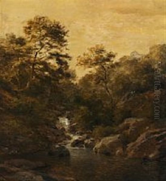 Landscape With Source Between Trees - view 1