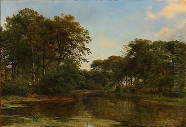 Sortedamso Ved Frederiksborg - view 1