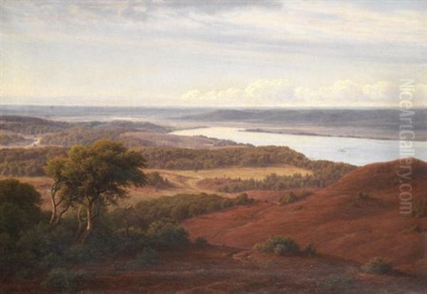 Weite Danische Heidelandschaft Mit Meeresarm - view 1