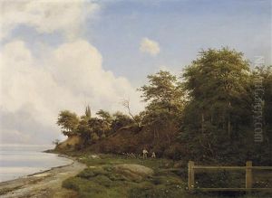 Bewaldete Kustenlandschaft An Der Ostsee Bewaldete Kustenlandschaft An Der Ostsee