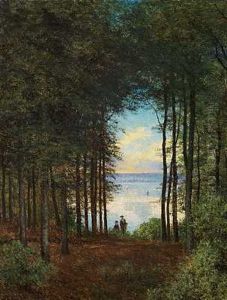 Udsigt Gennem En Lysning Til Vejle Fjord Ved Munkebjerg