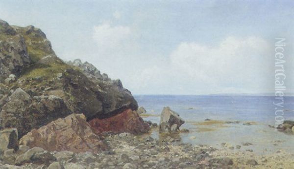 Kystparti, Arildsleje - view 1