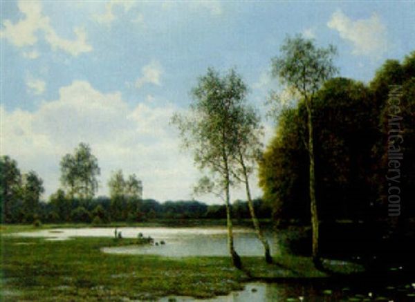 A Marshy Woodland Landscape - view 1