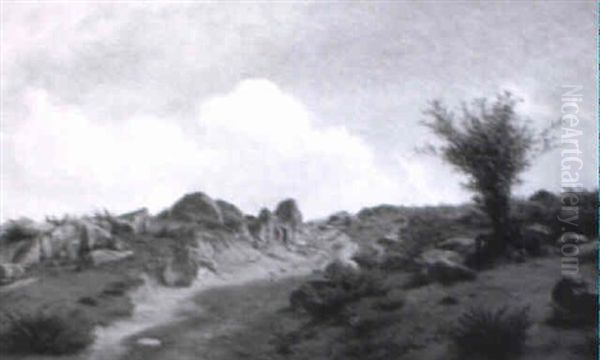 Landskab Ved Helligdomsgarden, Bornholm - view 1