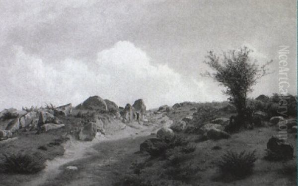 Ved Helligsdomsg+rden, Bornholm - view 1