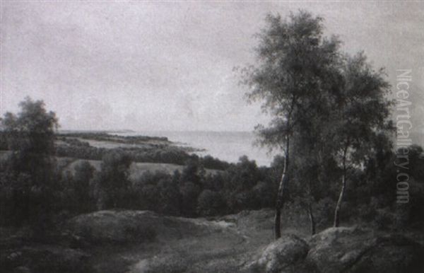 Bornholmsk Landskab Med Udsigt Fra Hammeren - view 1