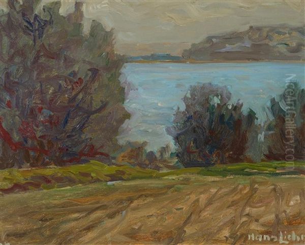 Abendstimmung Am See - view 1