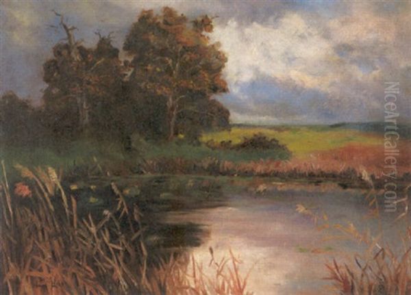 Markische Landschaft - view 1