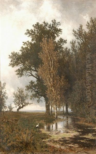 Teichlandschaft Mit Fischreiher - view 1