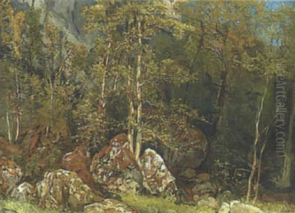 Waldinneres Mit Felsen - view 1