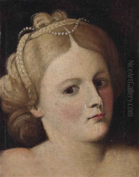 Portrait Of A Woman, Bust-length, With Pearls In Her Hair - view 1