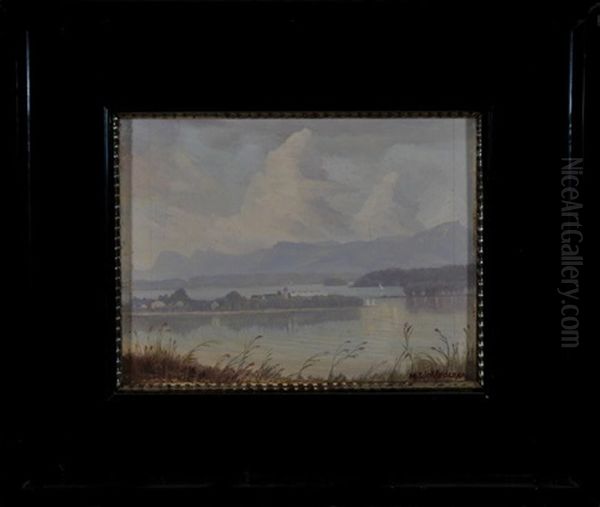 Chiemsee - Uferlandschaft Mit Blick Auf Die Fraueninsel - view 1