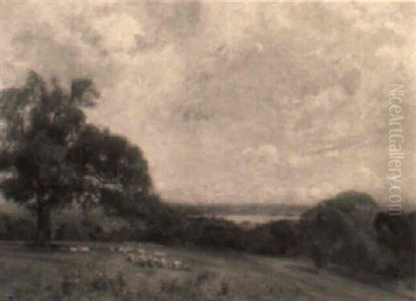 Pearcefield Park - view 1