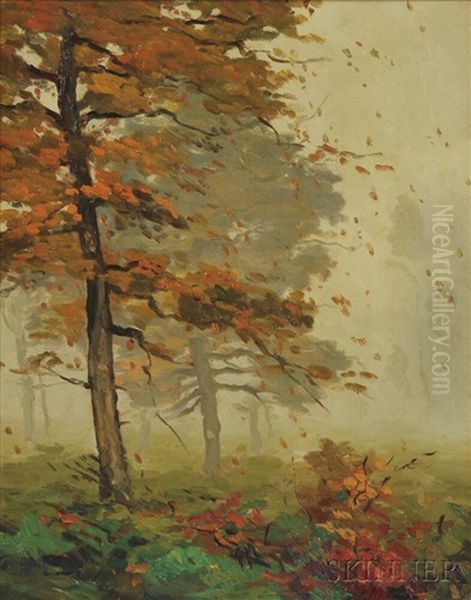 Woods In Fog - view 1