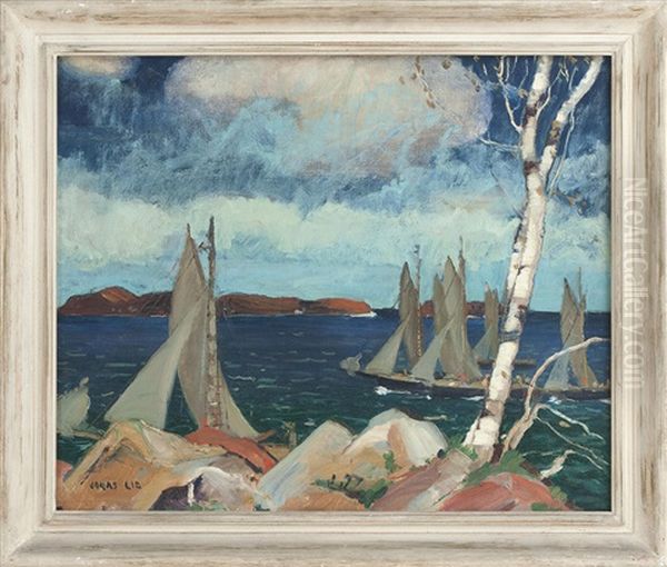 A Birch Along The Coast - view 1